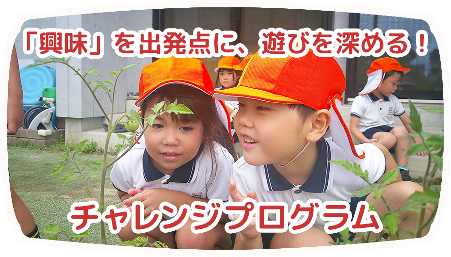 チャレンジプログラム