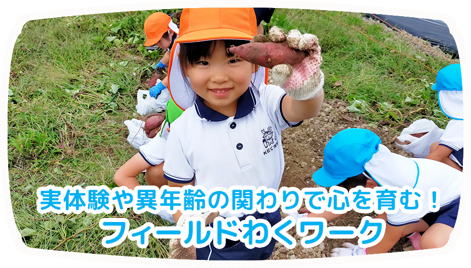 フィールドわくワーク