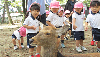 チャレンジプログラム