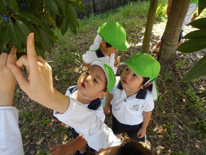 DSCN8431.jpg