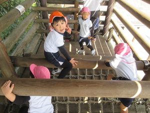 IMG_6548.jpg