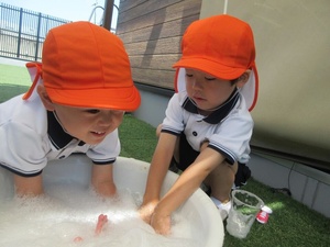 IMG_0022_20230619124436417.jpg