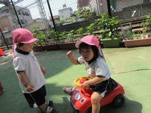 IMG_0799.jpg
