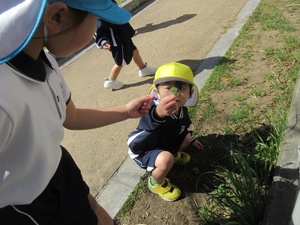 IMG_8332.jpg
