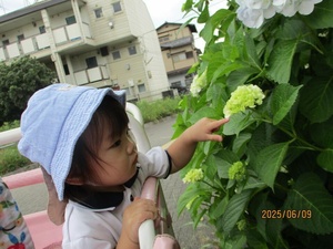 IMG_7258.jpg