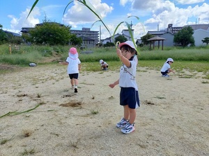 IMG20250930104807.jpg