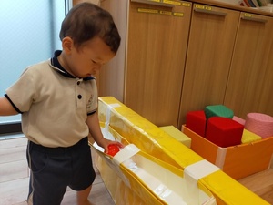 IMG20260415101044.jpg