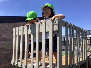 IMG_1151.jpeg