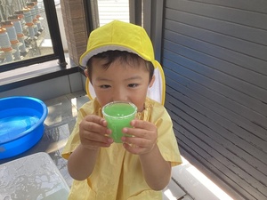 IMG_2115.jpeg