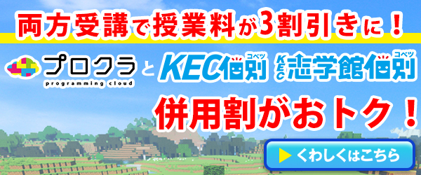 個別×プロクラ割引