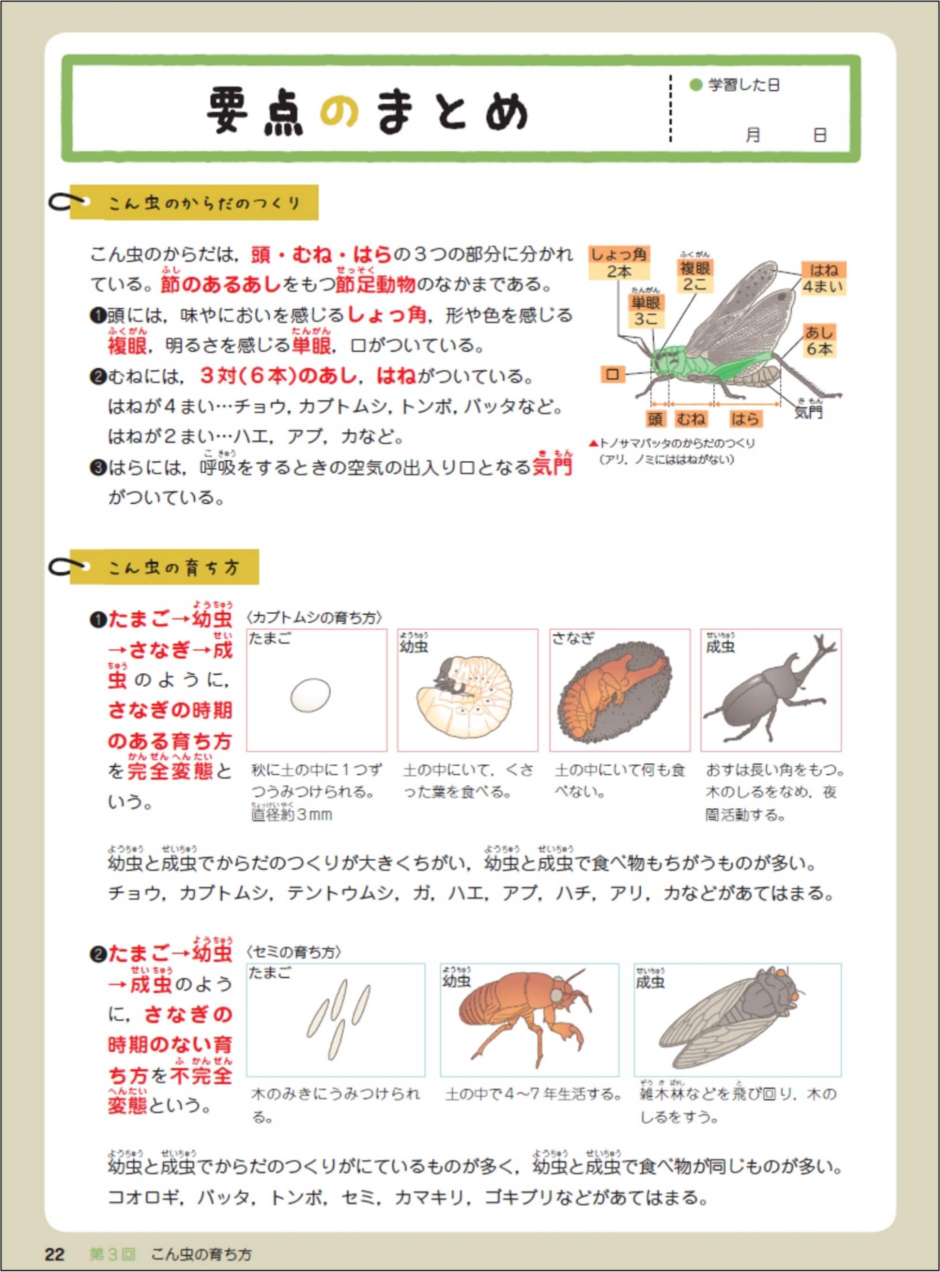 内容を理解する