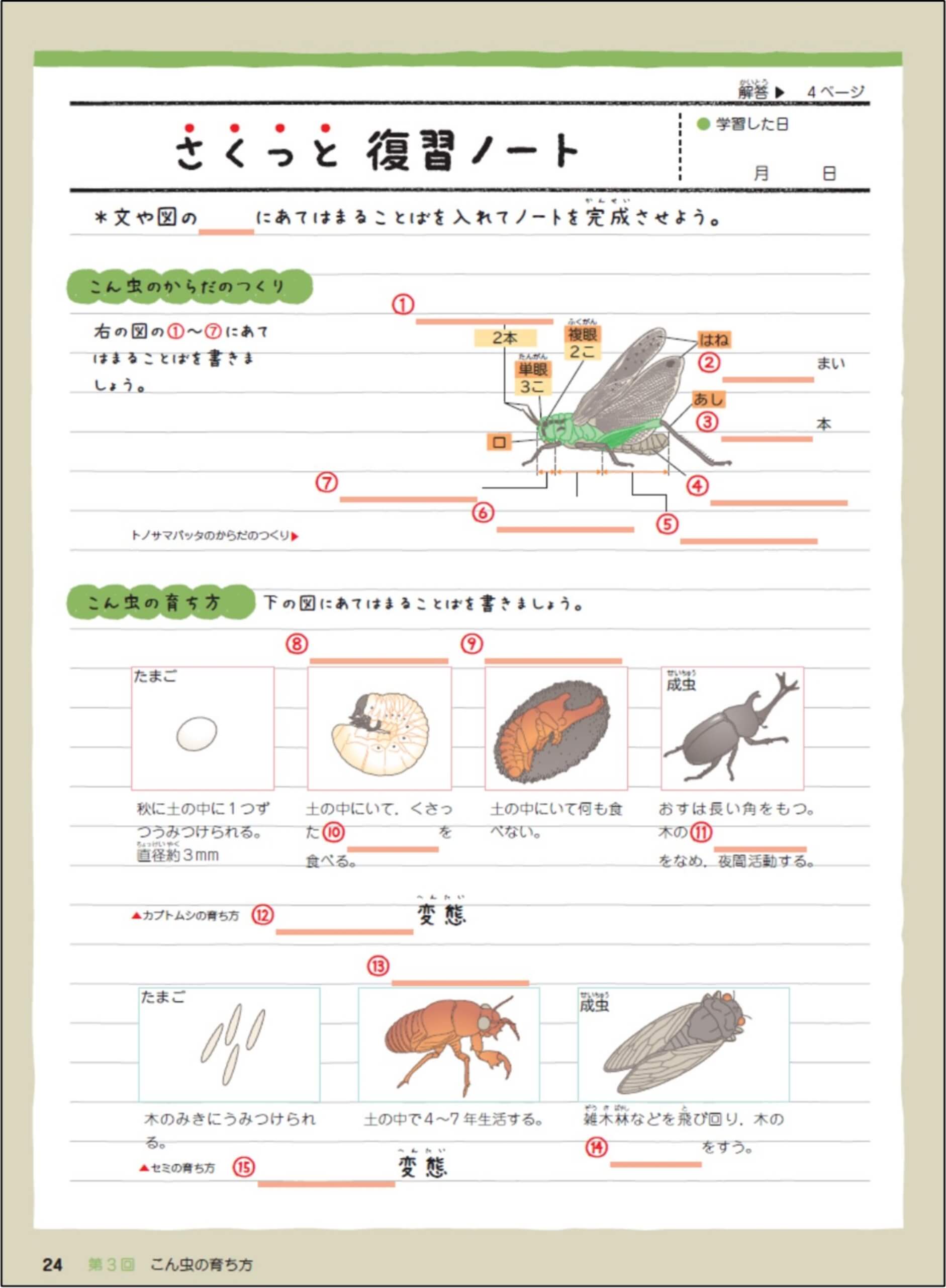 学習内容を再確認する