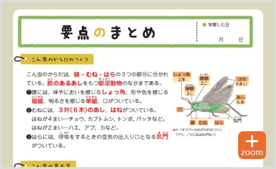 内容を理解する