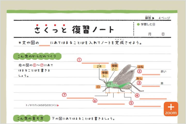 学習内容を再確認する