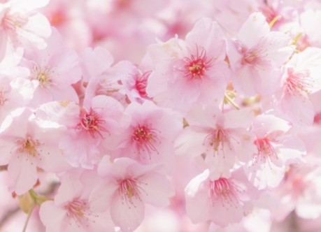 【合格体験記③】「自分を信じること」で未来は変えられる!